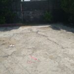 IMG_2619 (1)