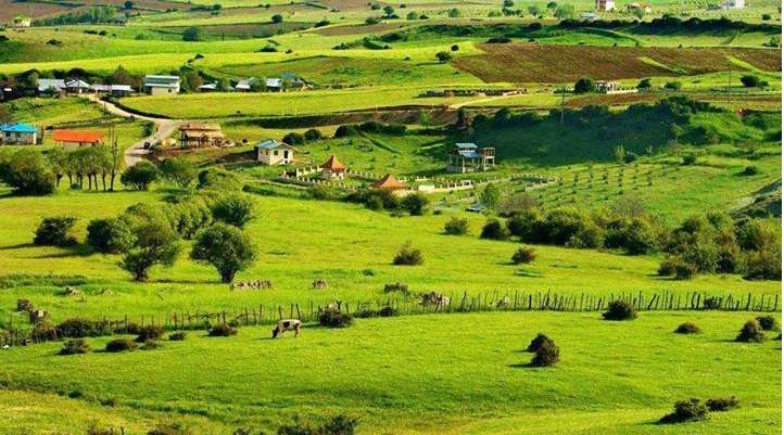 چشم‌انداز وسیع و سرسبز دشت و مزارع در شمال ایران با خانه‌های روستایی پراکنده