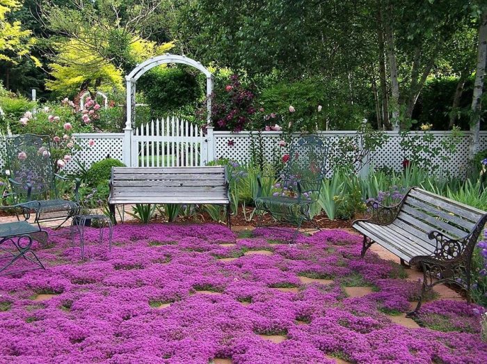 یک باغ با پوشش زمین صورتی گلدار متراکم در میان سنگفرشهای آجری، دو نیمکت چوبی و فلزی