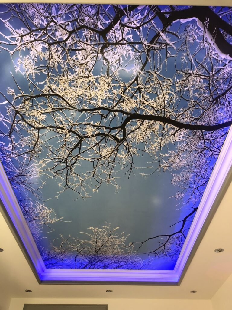 سقف کشسان طرح آسمان زمستانی با شاخه‌های درخت پوشیده از برف، نورپردازی مخفی آبی رنگ و باکس کناف محیطی
